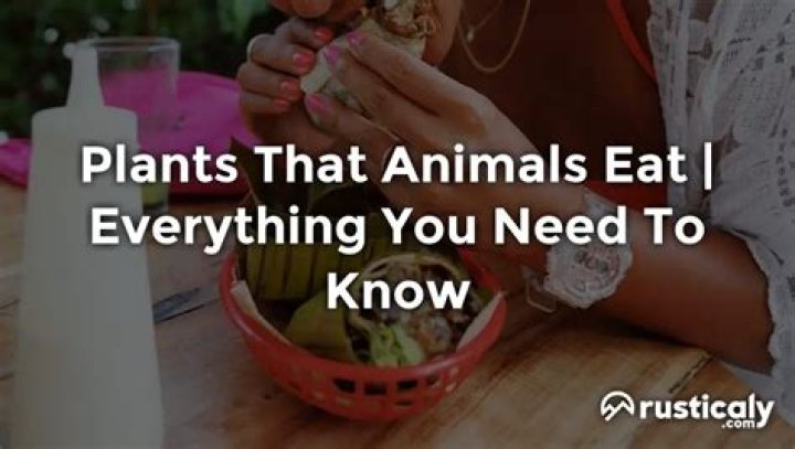 Animals not fully eating
