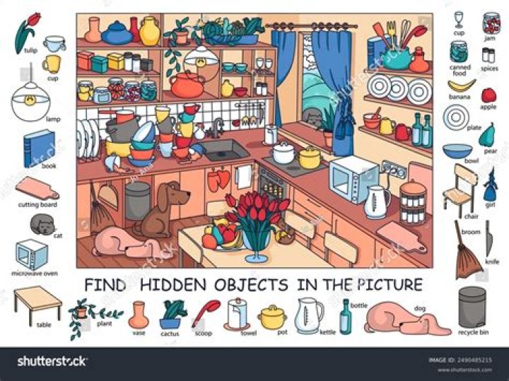 How can I identify all these items?