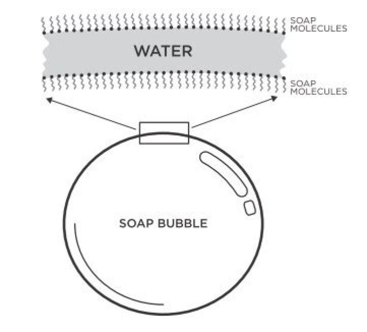 How do bubbles work?