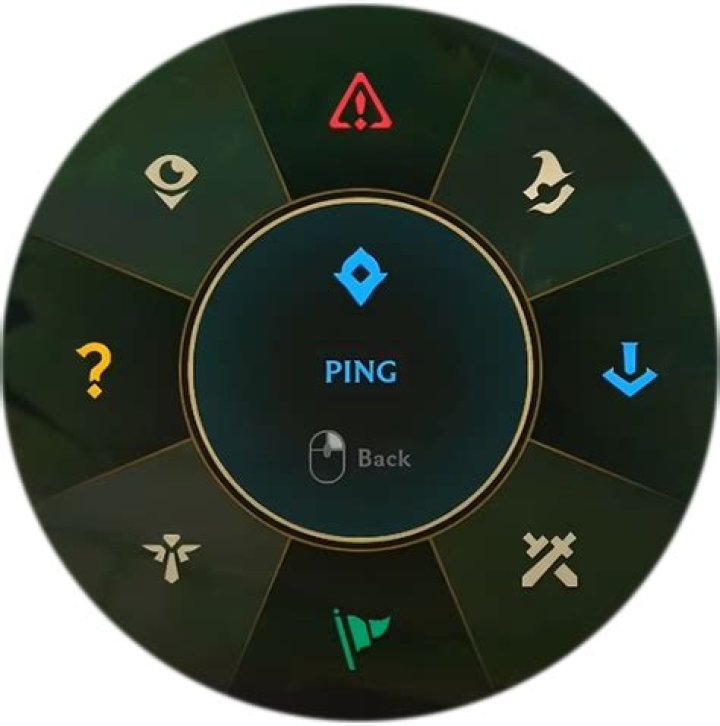 How do I ping the map?
