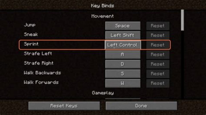 How do I sprint in Minecraft?