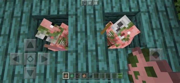How to deal with a Zombie Pigmen army?