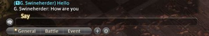 How to make FFXIV chat sticky from typing?