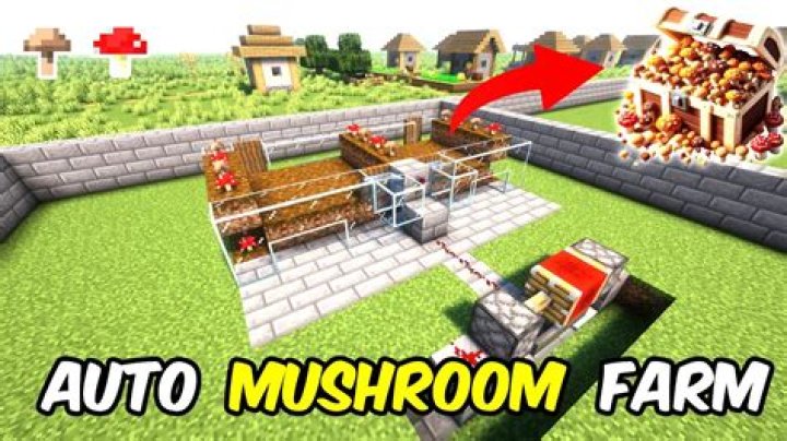 How would you create a good mushroom farm on Minecraft?