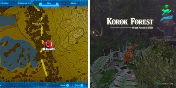 In the korok forest, why do the koroks run away from me when I get in their sight?