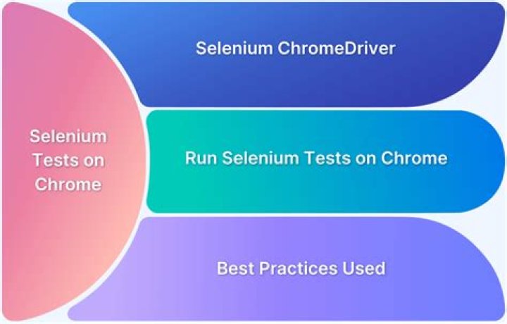 Set Chrome Options for Selenium Tests.