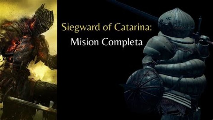 Siegward of Catarina quest can't find Siegward