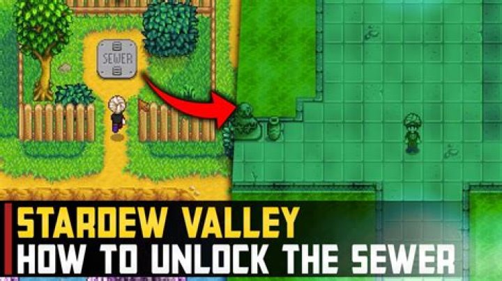 Unable to get into sewer in Stardew Valley Multiplayer even with the key