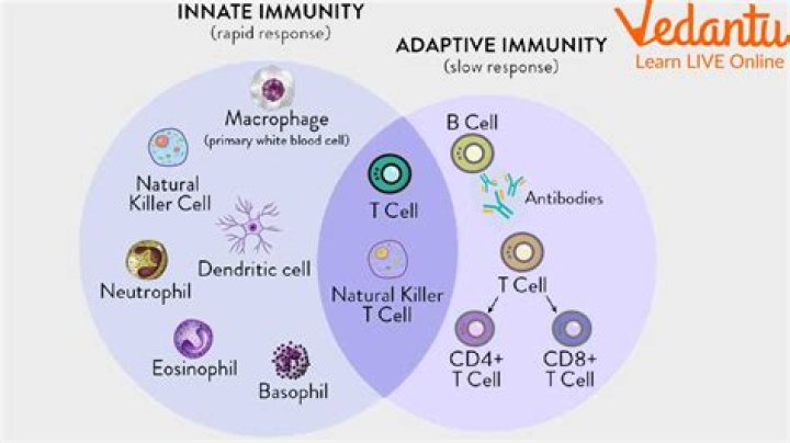 What can I do when an enemy becomes immune to both Physical and Magical?