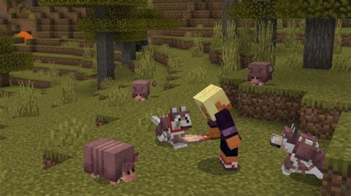 What can I eat in Minecraft?