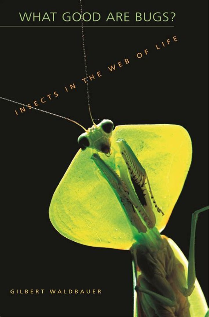 What good are bugs?