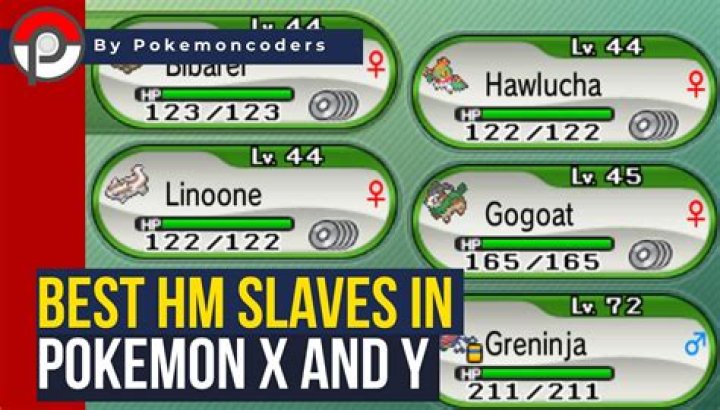 What is an HM Slave?