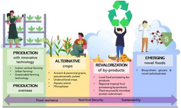 What is the most land efficient food source?