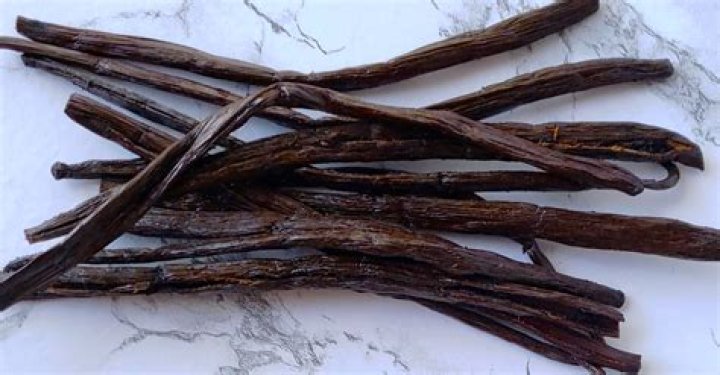 What is Vanilla?