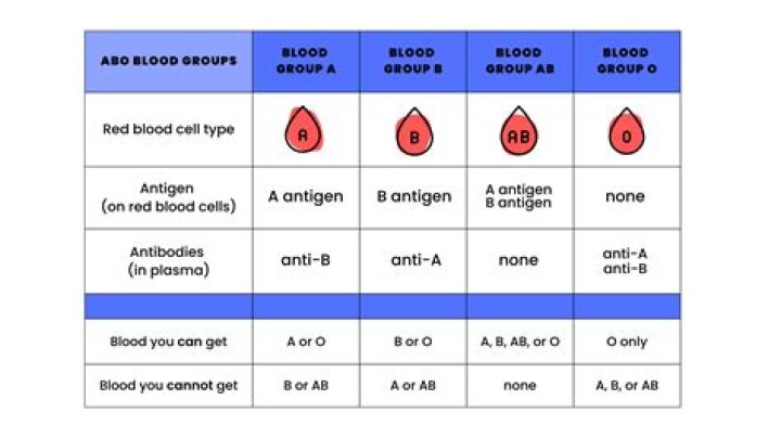 Where to find blood orgy?