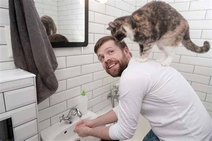 Why are creepers afraid of cats? [closed]